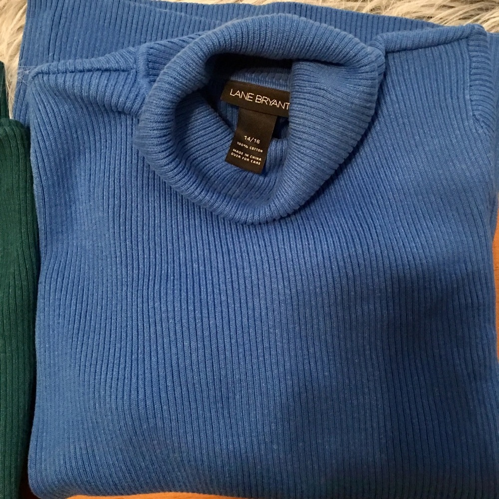 π· Lane Bryant Bundle π· - Picture 3 of 6